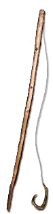 Fishing Rod